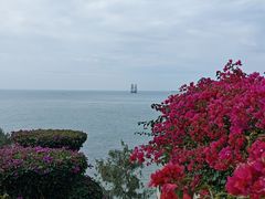 -青澳湾北回归线广场