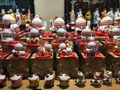 -猫咪博物馆(顶澳仔猫街店)