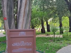 -北京市劳动人民文化宫(太庙)