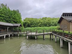 -溱湖国家湿地公园