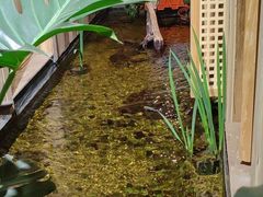 -邈墨茶馆(凤起路店)