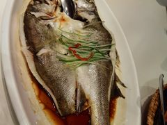 清蒸鲈鱼-觅唐MITONG(鸟巢店)