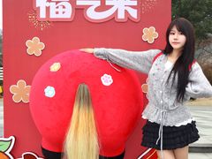 -无锡动物园·太湖欢乐园