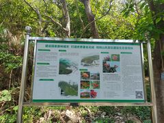 -梧桐山风景名胜区