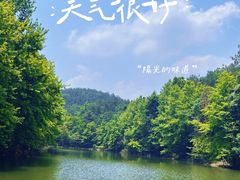 -青龙山国家森林公园