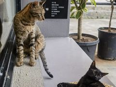 -转山咖啡(松柏社区店)