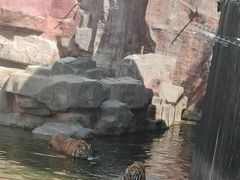 -无锡动物园·太湖欢乐园