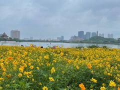 -顺峰山公园