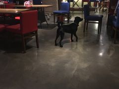 -Cactus墨西哥仙人掌餐厅