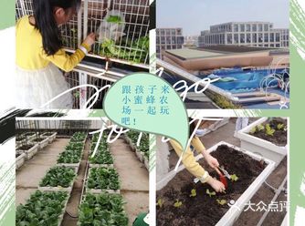 跟孩子来小蜜蜂农场一起玩吧！