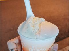 -Dip in Gelato(富民路店)
