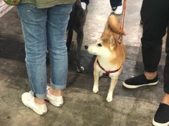 -香港会议展览中心演讲厅