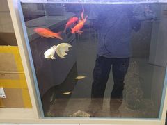 -中国农业大学动物医院