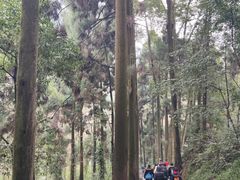 -青城山