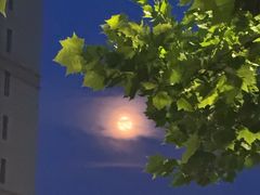 -胡马八破·川菜小馆(高新万达店)