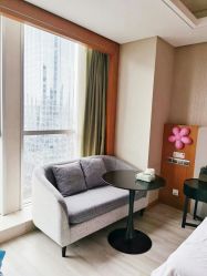 -明宇集团·积木枝芽母婴健康管理中心(天府店)