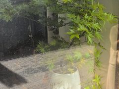 -鼓楼(西湖风景名胜区)