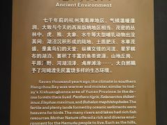 -河姆渡遗址博物馆
