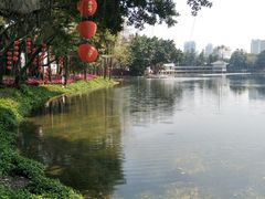 -晓港公园