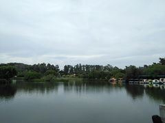 -南沙蒲洲花园