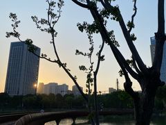 -后襄河公园
