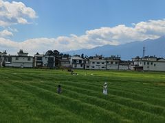 -喜林苑·稻田餐厅(品相府店)