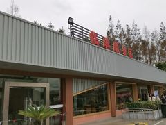 -临港服务区·停车场