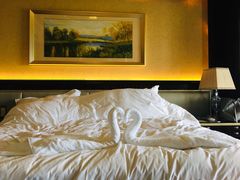 -上海浦东星河湾酒店