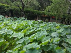 -四川大学(华西校区)