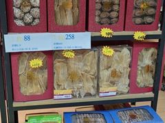 -新苗超市(花城店)