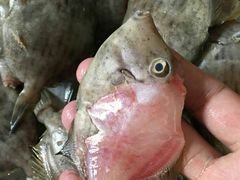 -龙溪海鲜酒家(溪涌店)