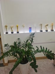 -CICI纤美·科技减肥美容