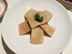 -西郊5号·Maggie 5