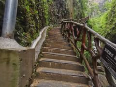 -鹿院坪生态旅游景区