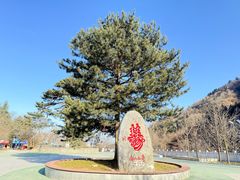 -秦岭终南山世界地质公园翠华山景区