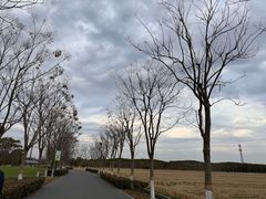 -嘉北郊野公园