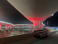 -演武大桥观景平台
