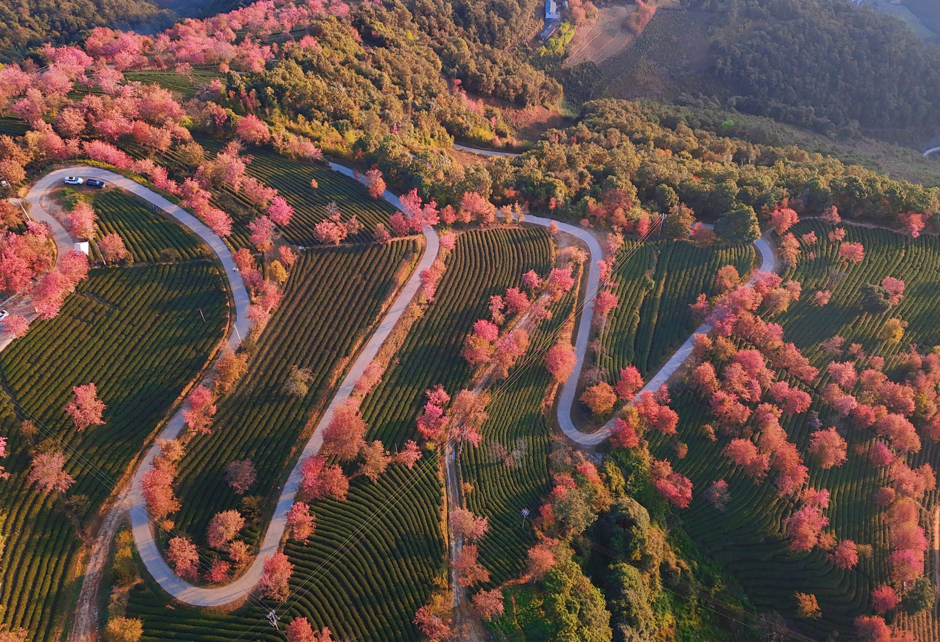 神仙姐姐居住的地方