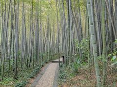 -南山风景名胜区