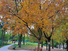 -元大都城垣遗址公园