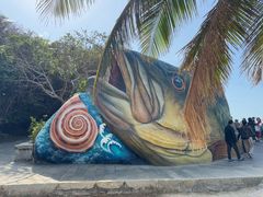 -海南分界洲岛旅游区