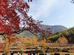 -塔川景区