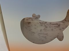 -山与蓝·轻糖鲜果蛋糕(勒泰店)