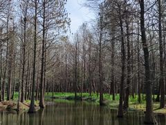 -尚湖风景区
