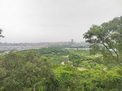 -苏州上方山国家森林公园