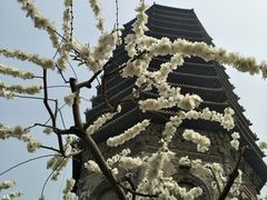 -玲珑塔公园