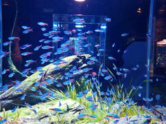 -锦艺城海洋馆