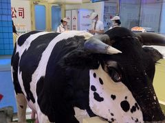 -红星前进面包牛奶公司(君太店)