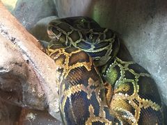 -福州罗源湾海洋世界旅游区