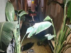 -邈墨茶馆(凤起路店)